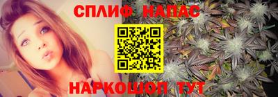 шишки Кинель
