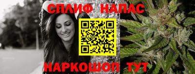 трава Кингисепп