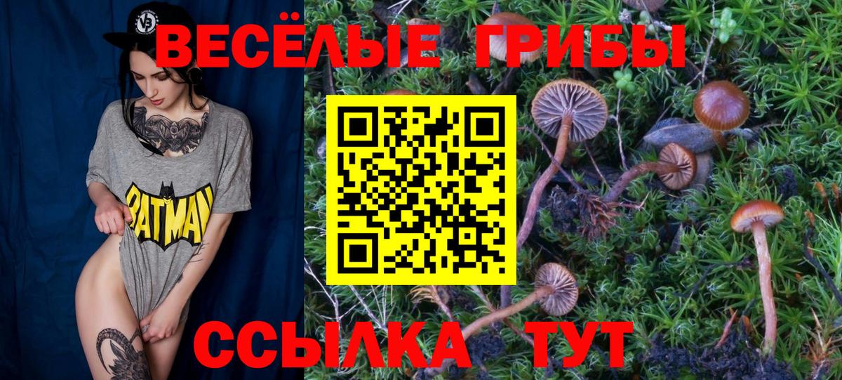 Псилоцибиновые грибы Magic Shrooms  Вход с VPN  Карачаевск 
