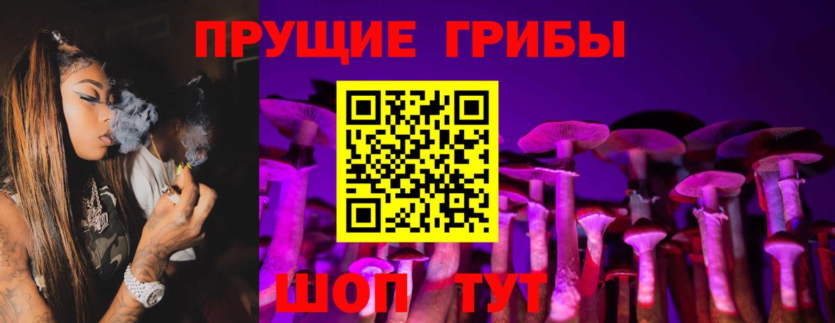 Псилоцибиновые грибы мухоморы Карачаевск